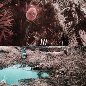 国产丝袜视频一区二区
