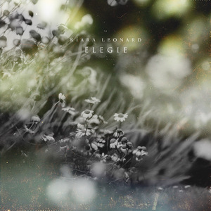 国产丝袜视频一区二区
